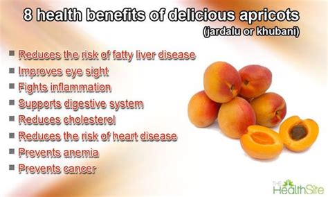 8 health benefits of delicious apricots (jardalu or khubani).